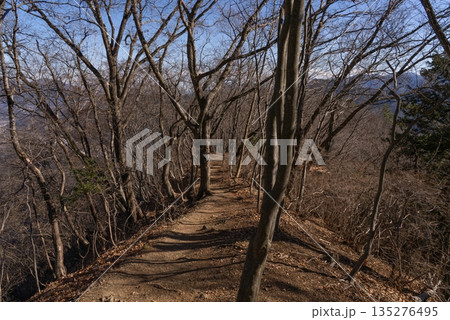 高川山の登山道02 高川山の登山道02 135276495