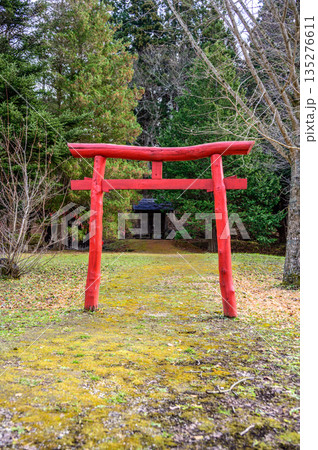 晩秋の遠野ふるさと村の赤い鳥居 晩秋の遠野ふるさと村の赤い鳥居 135276611