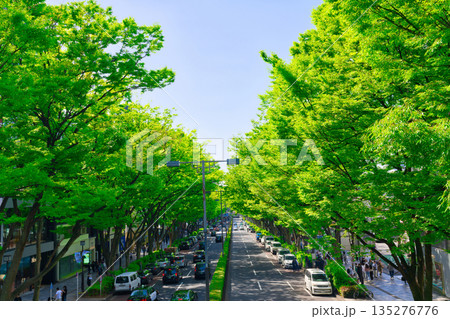【東京都】5月・新録の表参道 【東京都】5月・新録の表参道 135276776