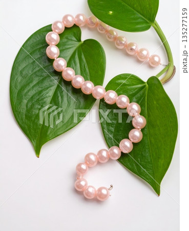 Ripe green apple with leaves and red grapes on a garden branch isolated on white for a nature food closeup 135277159