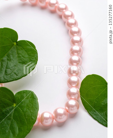 Ripe green apple with leaves and red grapes on a garden branch isolated on white for a nature food closeup Ripe green apple with leaves and red grapes on a garden branch isolated on white for a nature food closeup 135277160