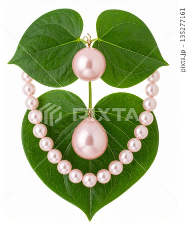 Ripe green apple with leaves and red grapes on a garden branch isolated on white for a nature food closeup 135277161