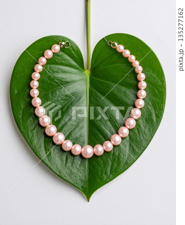 Ripe green apple with leaves and red grapes on a garden branch isolated on white for a nature food closeup 135277162