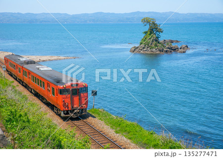 能登の雨晴海岸を走る氷見線のレトロ列車 135277471