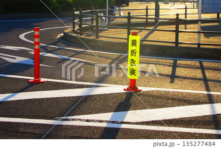 「横断危険」の表示がある道路の風景(埼玉高速鉄道の南鳩ヶ谷駅付近の風景) 「横断危険」の表示がある道路の風景(埼玉高速鉄道の南鳩ヶ谷駅付近の風景) 135277484