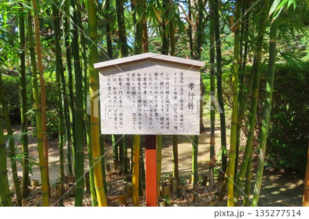 【山口県】松陰神社 孝行竹 135277514