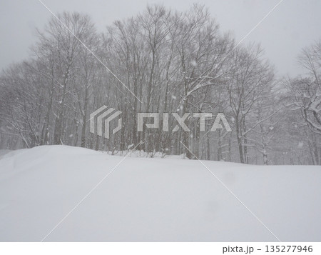 降雪で視界がかすむ豪雪地帯の雪原 寒波の厳しい冬景色 降雪で視界がかすむ豪雪地帯の雪原 寒波の厳しい冬景色 135277946