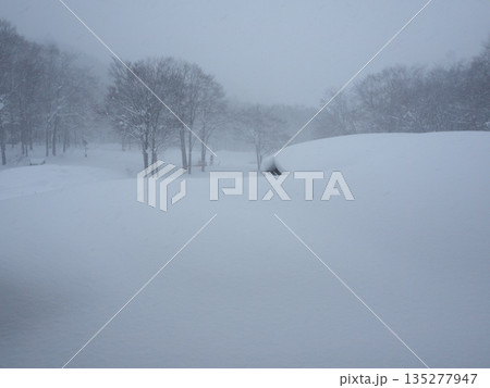 降雪で視界がかすむ豪雪地帯の雪原　寒波の厳しい冬景色 135277947