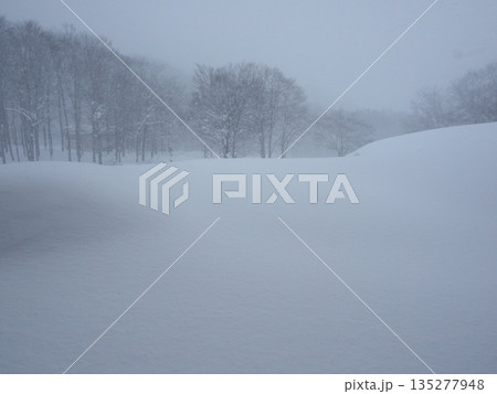 降雪で視界がかすむ豪雪地帯の雪原 寒波の厳しい冬景色 降雪で視界がかすむ豪雪地帯の雪原 寒波の厳しい冬景色 135277948