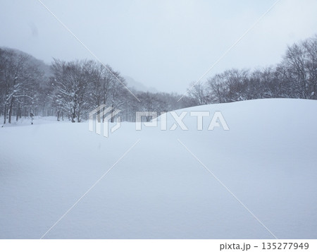 豪雪地帯の静かな雪原　余白のある厳冬の雪景色 135277949