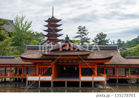 Traditional buildings of Itsukushima shrine in Miyajima, near Hiroshima 135278701
