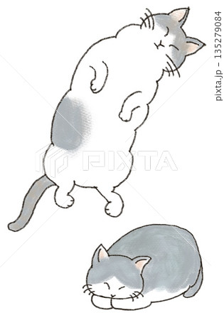 寝ているハチワレ猫のイラスト 寝ているハチワレ猫のイラスト 135279084