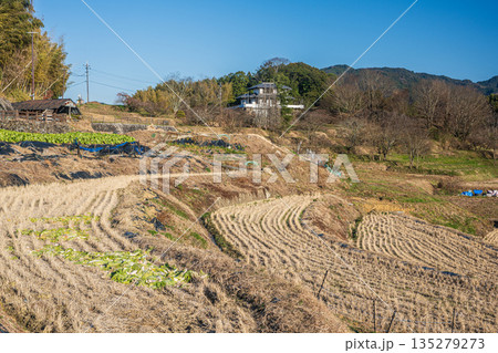 冬の明日香村田園風景　奈良県 135279273