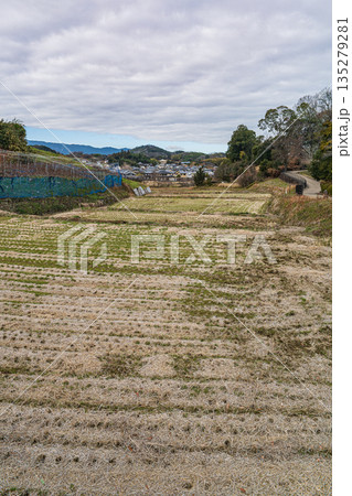 冬の田園風景 奈良県明日香村 冬の田園風景 奈良県明日香村 135279281