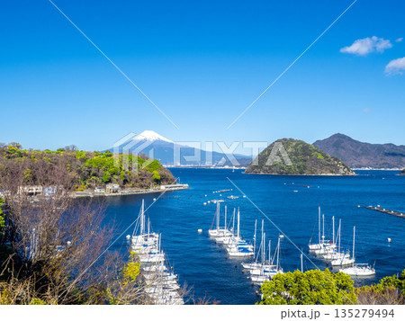 駿河湾、内浦湾と富士山（静岡県沼津市） 135279494