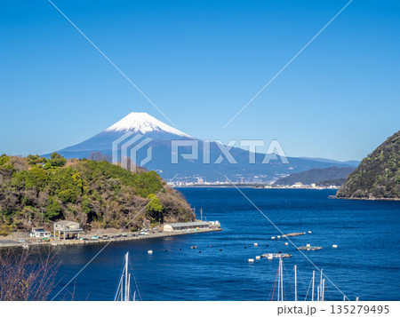 駿河湾、内浦湾と富士山（静岡県沼津市） 135279495