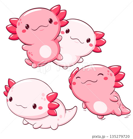 Set of axolotl in kawaii style. Lovely axolotl baby in different poses. Cute axolotl expression sheet collection. Can be used for t-shirt print, sticker, greeting card. Vector illustration EPS8 Set of axolotl in kawaii style. Lovely axolotl baby in different poses. Cute axolotl expression sheet collection. Can be used for t-shirt print, sticker, greeting card. Vector illustration EPS8 135279720