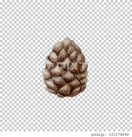 Forest Pine Cone. Watercolor Hand painted illustration isolated on a white background. Design Element for Christmas prints and decorations. Forest Pine Cone. Watercolor Hand painted illustration isolated on a white background. Design Element for Christmas prints and decorations. 135279840