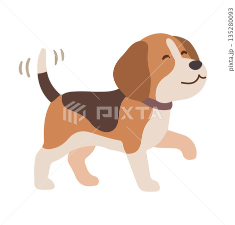 Illustration of a Beagle Dog Walking Illustration of a Beagle Dog Walking 135280093