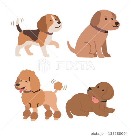 Four Cute Dogs Posed Together 135280094