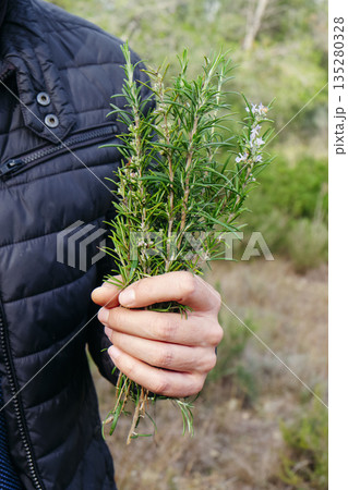close view of a man with wild rosemary branches close view of a man with wild rosemary branches 135280328