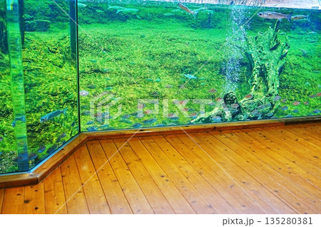 島根県立宍道湖自然館 ゴビウスの風景 135280381
