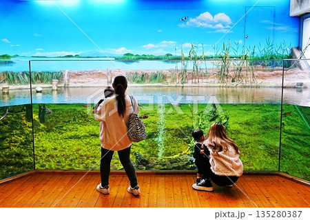島根県立宍道湖自然館 ゴビウスの風景 島根県立宍道湖自然館 ゴビウスの風景 135280387