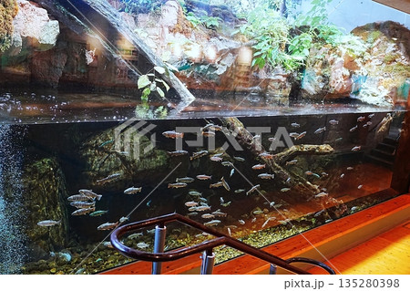 島根県立宍道湖自然館 ゴビウスの風景 135280398