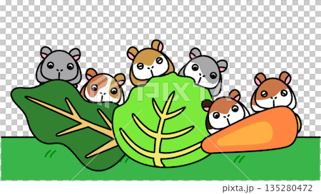 野菜の後ろからひょっこり顔を出すハムスターたちのかわいいイラスト 135280472