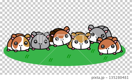 一幅可愛的插圖，描繪了一群倉鼠並排躺在草地上。 135280481