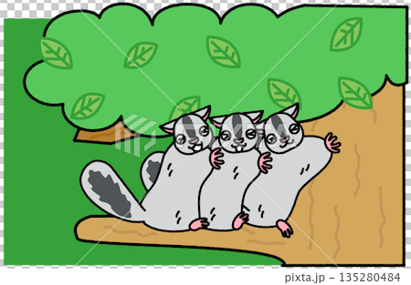 一幅可愛的插圖，描繪了三隻飛鼠在樹上互相依偎在一起。 135280484