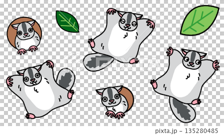 A cute illustration of a flying squirrel in various poses 135280485