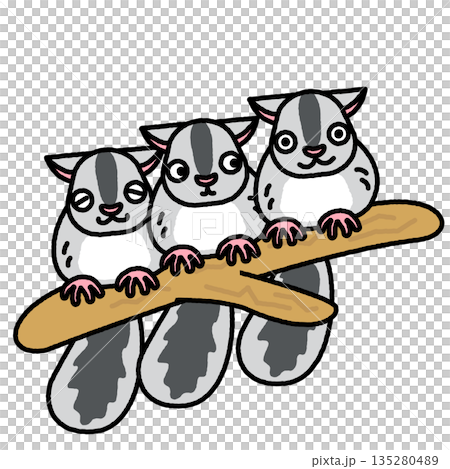 一幅可愛的插圖，描繪了三隻飛鼠並排棲息在樹枝上。 135280489