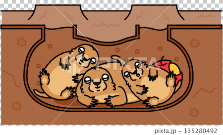 Cute illustration of a family of marmots gathering in an underground burrow 135280492
