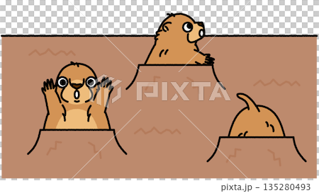 A cute illustration of a marmot peeking out of his burrow to look around A cute illustration of a marmot peeking out of his burrow to look around 135280493