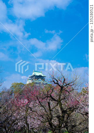 快晴の大阪城の梅林（2024年）3 135280521