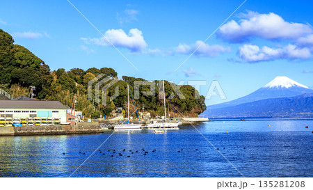 西伊豆から見た富士山 西伊豆から見た富士山 135281208