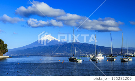 西伊豆から見た富士山 135281209