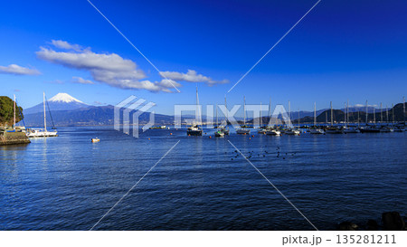 西伊豆から見た富士山 西伊豆から見た富士山 135281211