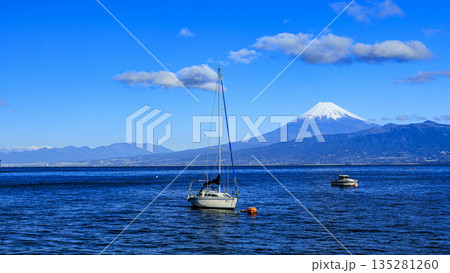 西伊豆から見た富士山 西伊豆から見た富士山 135281260
