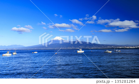 西伊豆から見た富士山 西伊豆から見た富士山 135281264