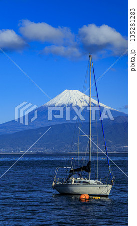 西伊豆から見た富士山 135281283
