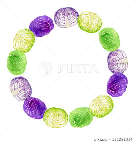 キャベツ 紫キャベツ　野菜　フレーム　水彩 イラスト 135281314