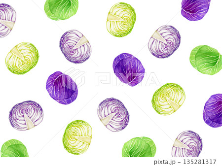 キャベツ 紫キャベツ　野菜　背景 模様　水彩 イラスト 135281317