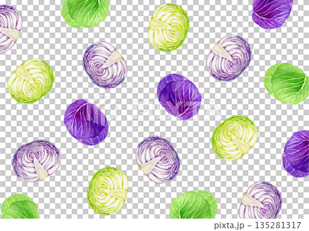 キャベツ 紫キャベツ　野菜　背景 模様　水彩 イラスト 135281317