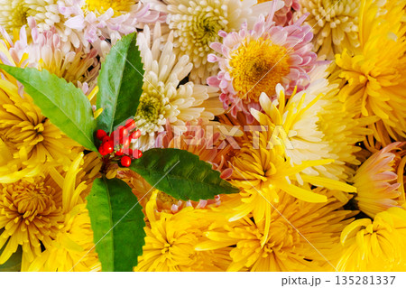千両と菊花の花手水 千両と菊花の花手水 135281337