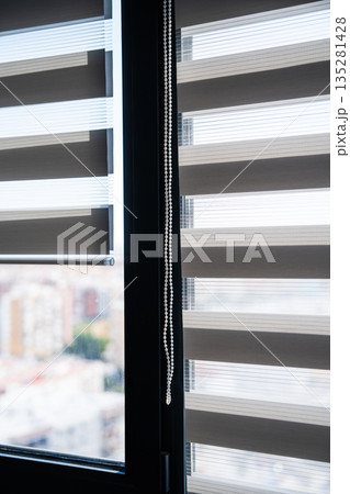 Vertical View of Zebra Window Blinds With Chain Control Showing Light Diffusion and Privacy in Home Interior Vertical View of Zebra Window Blinds With Chain Control Showing Light Diffusion and Privacy in Home Interior 135281428