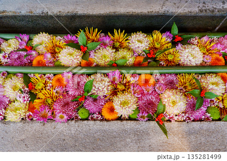 水無瀬神宮の花手水　菊水 135281499