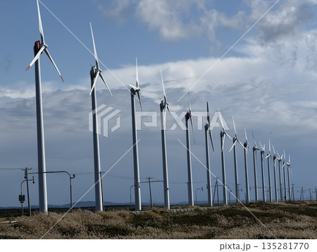 風力発電タービンが並ぶ再生可能エネルギーの風景 / Wind Turbines and Renewa 風力発電タービンが並ぶ再生可能エネルギーの風景 / Wind Turbines and Renewa 135281770