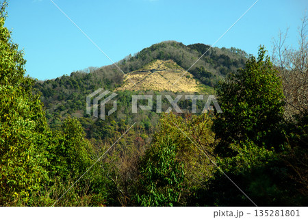 吉田山から見た大文字 135281801